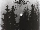 Darkthrone - Panzerfaust [Vinyl New]