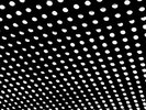 Beach House - Bloom [Vinyl New]