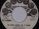 KNIGHT BROTHERS: I’m Never Gonna Live it Down USA Checker DJ SOUL 45 Hear