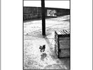 B.J. Cole - New Hovering Dog [New Vinyl LP]