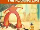 Yoshimi Battles The Pink Robots, The Flaming Lips, Vinyl, 0093624814115