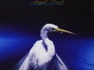 Angel Dust (Deluxe Edition), Faith No More, Vinyl, 0825646094608