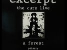 THE CURE Live Excerpt 12