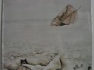 Arild Andersen Clouds In My Head Japan LP 1975 Trio PAP-9038 Insert ECM
