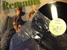 The Remains Self Title Debut Rare Promo Vinyl Record Holy Grail Garage Rock Lp