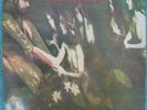 The Monkees- MICHAEL NESMITH, Compilation  LP- 7 Records Australia- RARE