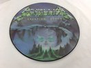METALLICA *CREEPING DEATH* VERY RARE UK 12 INCH PICTURE DISC