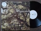 TRAVIS - The Invisible Band VINYL LP UK Independiente ISOM 25LP OIS RAR