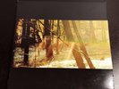 Childish Gambino Camp Original Pressing 2 LP Vinyl Limited Edition Double Gate