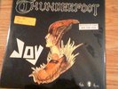 Joy - Thunderfoot - rare psych prog rock promo - Paula records