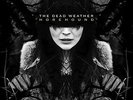 Dead Weather, The - Horehound Vinyl Record