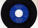 Syng McGowan & The Wayward Sons Not Sympathy Hope 45 1966 Northern Soul Doo Wop