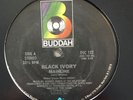 BLACK IVORY-mainline-RARE ORIG 1979 BUDDAH DISCO/SOUL 12