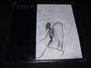 Death Punk/ Indie LP RUDIMENTARY PENI No More Pain EP 2008 Clear Wax with Poster