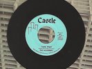 The Mosriters Take That Treat Her Right Castle 45 Record MINT SURF INSTRUMENTAL