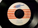 STONEBRIDGE Uncle Sam RARE MICHIGAN PRIVATE PSYCH HARD ROCK 7