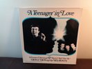 DION & THE BELMONTS A Teenager In Love 4 LP Box vinyl Set   Dion & 60 R&R Hits