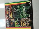 The Upsetters Blackboard Jungle Dub Vinyl on Clocktower Records