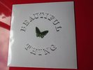The Stone Roses - Beautiful Thing 12
