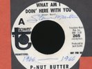P-NUT BUTTER Phoenix garage band on TOWER What Am I Doing Here  (Hear it)
