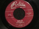 THE RAINBOWS Mary Lee RED ROBIN listen