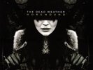 The Dead Weather ?– Horehound SEALED Third Man 2xLP VINYL