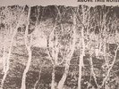 NAGAMATZU - Above This Noise - Vinyl (LP + insert)