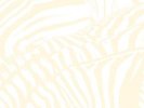 Beach House - Teen Dream [Vinyl New]