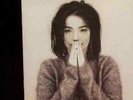 Bjork - Debut [Vinyl New]