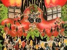 LP PANTERA Projects In The Jungle