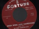 1963 Windy Mountain Boys Detroit Bluegrass Fortune VG+ 45 (High Wide & Handsome)