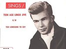 TERRY MILLER--TEEN PICTURE SLEEVE ONLY--(TEEN AGE LINGO JIVE)--PS--PIC--SLV