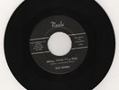 60's Mod Popcorn Latin Exotica Ray Rivera 