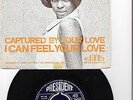 VINYL  SINGLE  //  FELICE  TAYLOR  --  I  CAN  FEEL  YOUR  LOVE