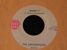 The Groundhogs-Shake It-RARE 1965 US STOCK 45 -NEAR MINT-Mod Garage-HEAR