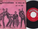 FENTONES * 1962 Belgian 45 * Shane FENTON * UK BEAT BRIT ROCK