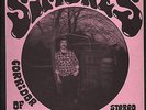 AL SIMONES - Corridor Of Dreams - RARE PSYCH ROCK LP US Peyote 1993 NM 