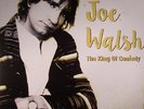 WALSH, Joe - King Of Comedy - Vinyl (gatefold 2xLP)