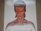 David Bowie LP Aladdin Sane