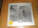 DAVID BLUE / NICE BABY AND THE ANGEL   1973 Promo Album Monarch Press   NR MINT