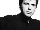 Peter Gabriel - So (2LP 45 RPM Half Speed Remaster) (Limited Edition)