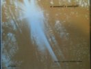 FOCUS A Moment's Sunlight Private 60s College Folk RPC Custom LP