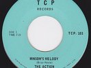 CANADA 1968 Garage Psych 45 (Manitoba Group) - The ACTION - Winsom's Melody