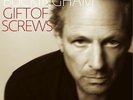 Gift Of Screws - 2 DISC SET - Lindsey Buckingham (2008, Vinyl New)