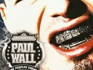 The Peoples Champ By Paul Wall Vinyl 2LP Record 2005 Explicit NEW