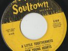 RARE ORIG NORTHERN SOUL 45 - NEW YOUNG HEARTS - A LITTLE TOGETHERNESS - SOULTOWN