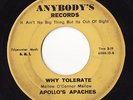 Apollo's Apaches   RARE  ORIGINAL  garage classic   Hear
