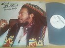 KEITH HUDSON -STEAMING JUNGLE -DISC DISK 1983 RARE ROOTS VG++
