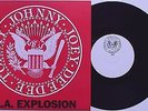 Ramones - L.A. Explosion 10