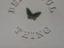The Stone Roses - Beautiful Thing Ltd Edition 12